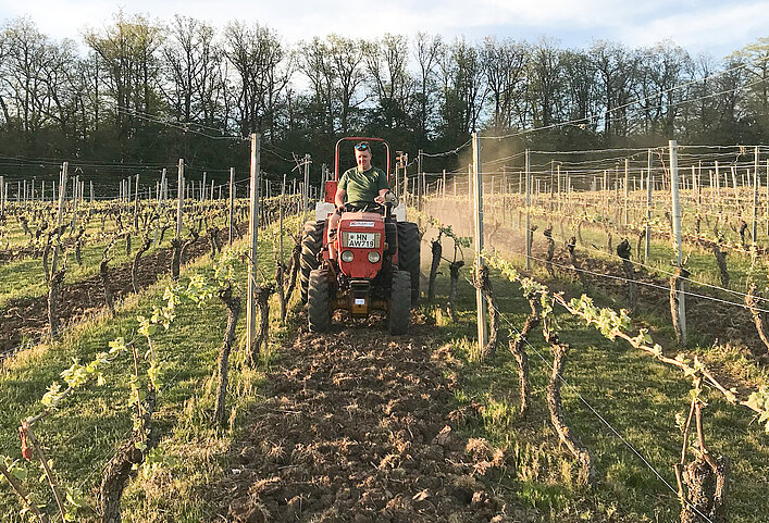 Einblick in die Arbeit im Weinberg und Weinkeller